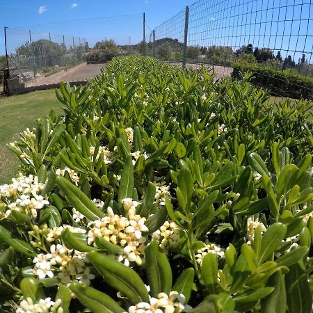 مبيت وإفطار Al Sole Di بولا المظهر الخارجي الصورة